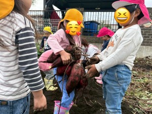 IMG_9277